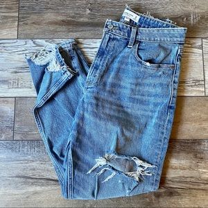 Abercrombie & Fitch Curve Love Mom Jean 10